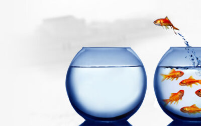 Liberi di librarsi in volo